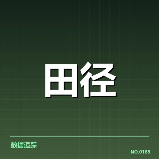接力队阵容磨合背后,团队合作与战术调整引发的深层次思考